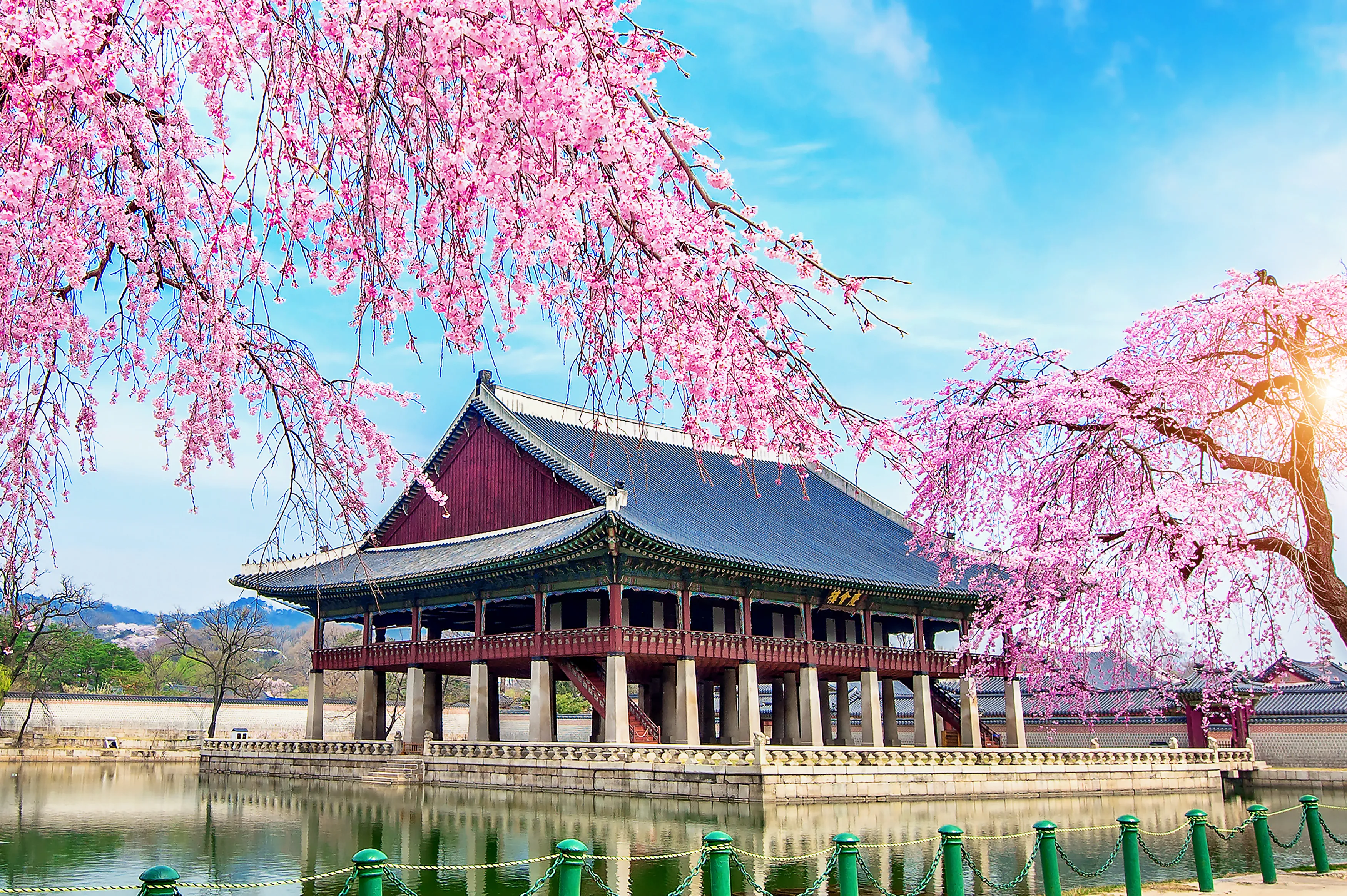 South Korea travel photo